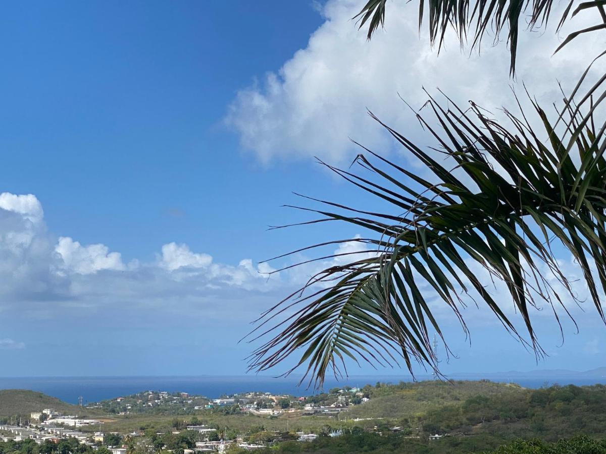 Las Terrazas Los Chivos Vieques Eksteriør bilde