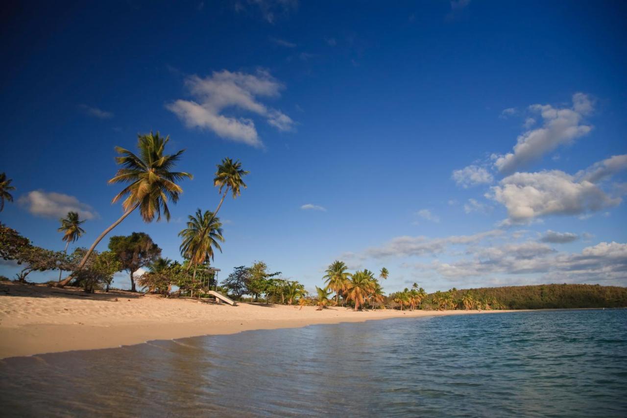 Las Terrazas Los Chivos Vieques Eksteriør bilde