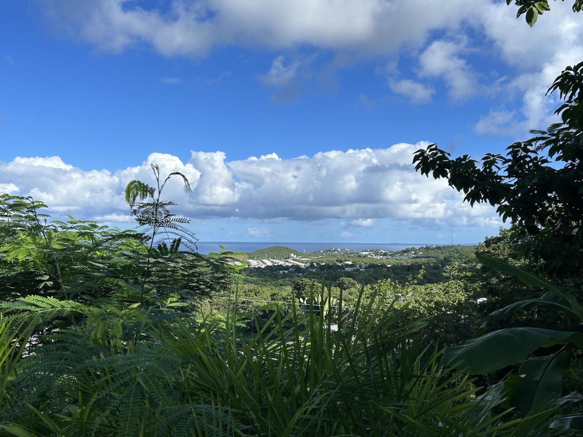 Las Terrazas Los Chivos Vieques Eksteriør bilde